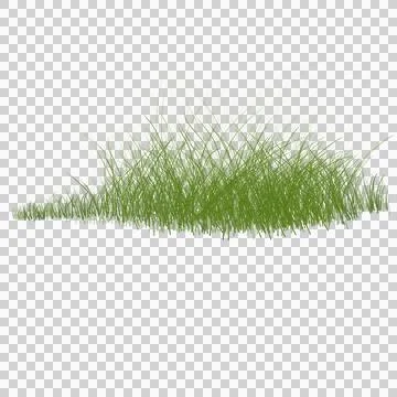 A patch of green grass isolated on a white background Stock Illustration