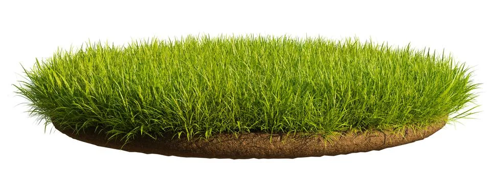 A patch of green grass on a transparent background. 3D rendering illustration イラスト素材