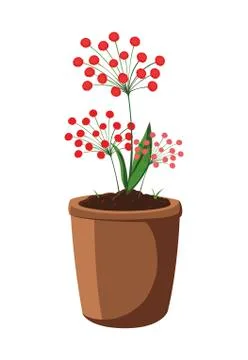 Patch of houseplant in pot Ilustración de archivo