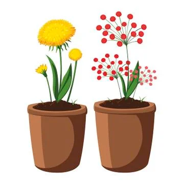 Patch of houseplant in pot Ilustración de archivo