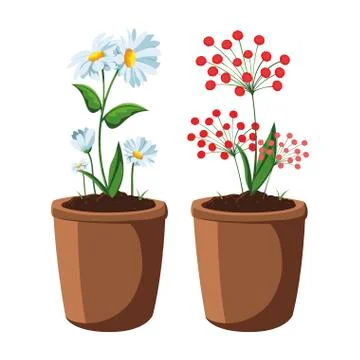 Patch of houseplant in pot Ilustración de archivo