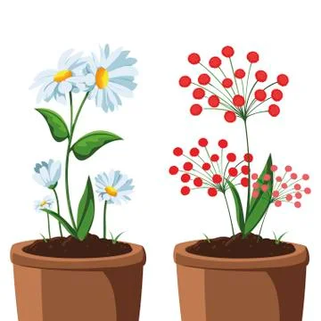 Patch of houseplant in pot Ilustración de archivo