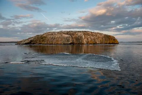 Patch of Ice floating in the lake, Lake Of The Woods, Ontario, Canada Stock Photos