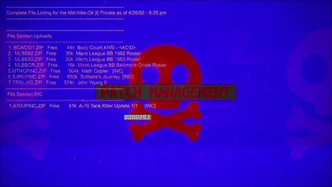 Patch Management Warning Text on hacking background screen Vídeos de archivo 317055748
