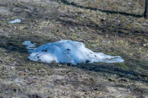 Patch of melting snow on forest floor signaling seasonal thaw and moist soil, 스톡 사진