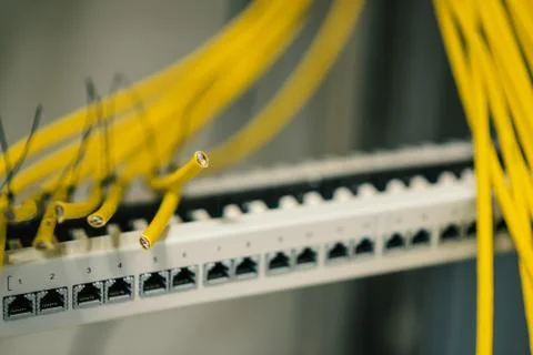 Patch panel with cables, switching, data network deployment Fotos Stock