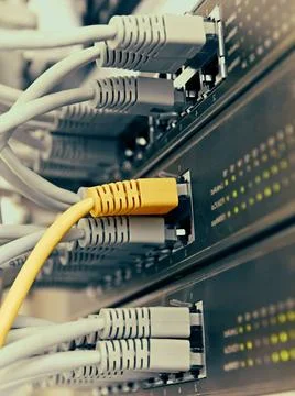 Patch Panel server rack with gray cords in the background Patch Panel serv... Fotos de archivo