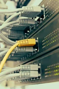 Patch Panel server rack with gray cords in the background Patch Panel serv... Fotos de archivo