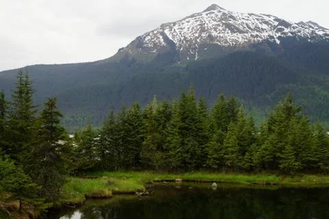 A patch of spruce forest next to the black water with a show capped mountain  Foto stock