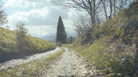 Patch in Tatras mountains Stock Footage 109391510