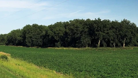 Patch of trees along a highway that crosses through farmland Vídeos de archivo 121550699