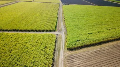 Patch Work Green Farm Fields Stock Photos