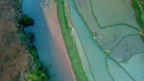 Patch work rice paddies alongside mountain stream.  drone Birds Eye view. Stock Footage 237915812