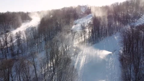 Patches of Forest in Between Ski Trails on Side of Mountain Resort Stock Footage 303820421