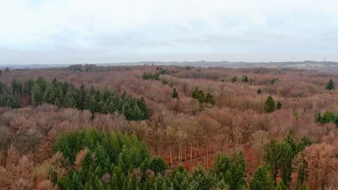 Patches of green Stock Footage 102907711