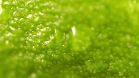 Patches of light of drops of water at a background. Drops of water fall on the Vídeo Stock 106392392