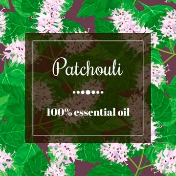 Patchouli essential oil Stock Illustration