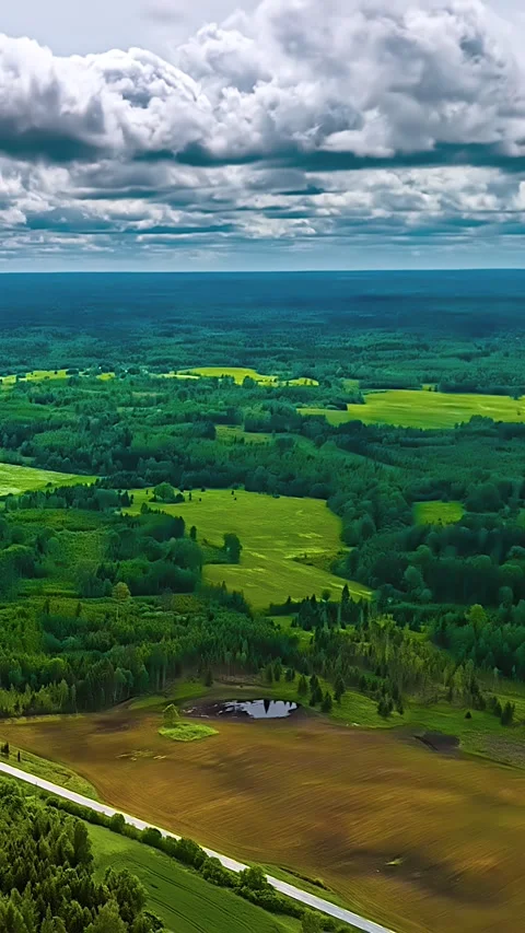 Patchwork Agricultural Fields and Forest Countryside Landscape Aerial Vertical Stockbeeldmateriaal 332816534