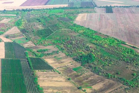 Patchwork of agricultural fields and forest view from above Foto stock