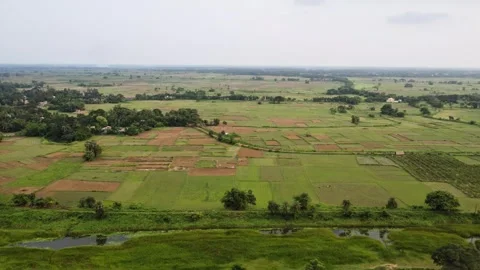 Patchwork Agricultural Fields and Green Farmlands in Rural Countryside. Stock-Footage 336217306