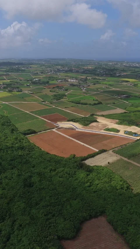 Patchwork Of Agricultural Fields Video stock 337750534