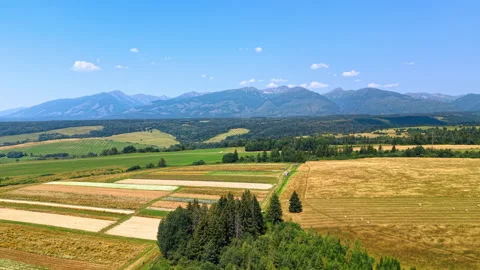 Patchwork agricultural fields near green forest in countryside, Slovakia. Stock Footage 346191562