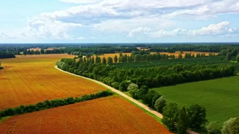 Patchwork of colorful farmland and tree belts in summer landscape from above Stock Footage 323381722