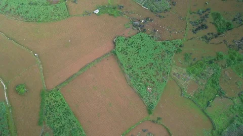 Patchwork covered crop plantations and terraced rice paddies surrounding Stock-Footage 240849162