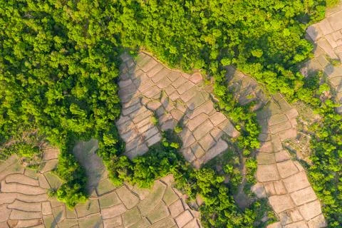 Patchwork of dry fields and dense green forest Fotos de archivo
