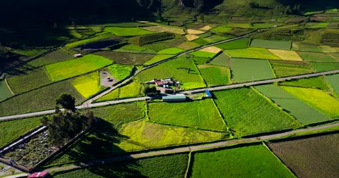 Patchwork farm land agricultural fields of Colca Canyon, Chivay Video stock 334608982