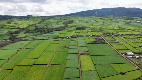 Patchwork Farmland With Green Fields On Terceira Island, Azores, Portugal - Stock-Footage 334761482