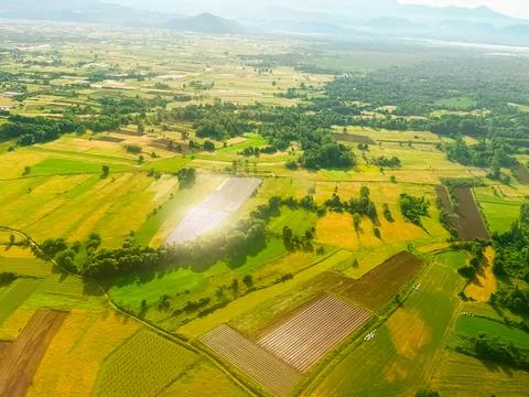 Patchwork farmland with reflective crop field at golden hour. Agricultural di Stock Photos