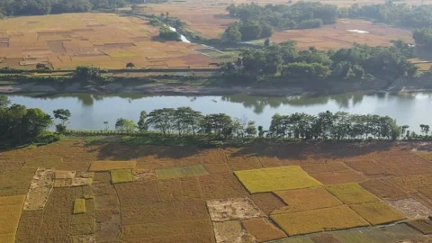 A patchwork of farmland surrounds the Surma River which flows right Video stock 236982046
