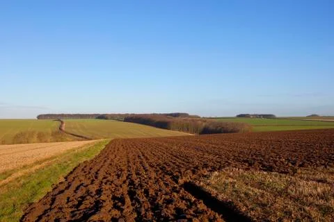 Patchwork farmland in winter Stock Photos