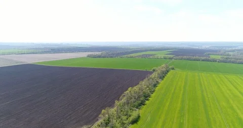 Patchwork of farmlands with separate area under crops Stock Footage 86171272
