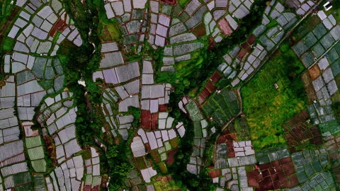 Patchwork farms of Bukit Selong from above Stock Footage 321047557