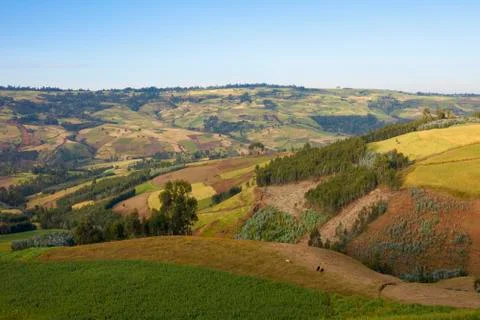 Patchwork of farms in Ethiopia 스톡 사진