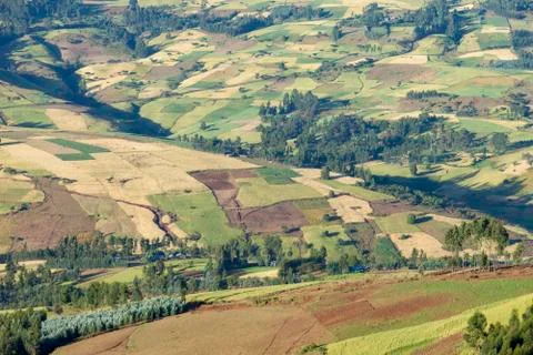 Patchwork of farms in Ethiopia Fotos de archivo