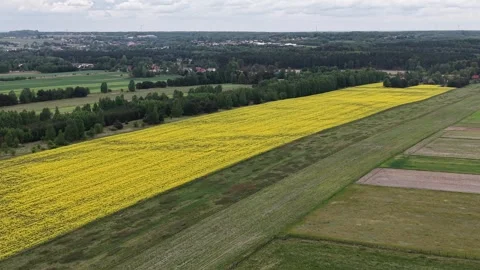Patchwork fields and green forest strip from above Stock Footage 348002320
