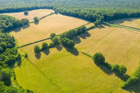 Patchwork fields and hedgerows in summer light 스톡 사진
