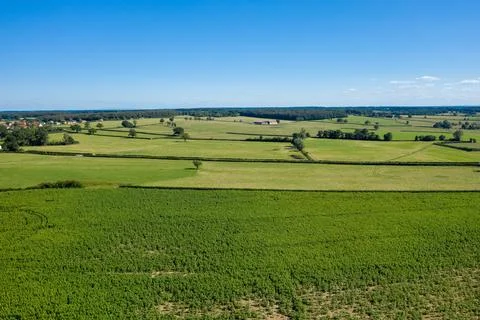 Patchwork fields and hedgerows in summer light Fotos de archivo