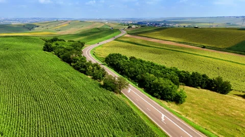 Patchwork fields and lake in Romania. Aerial photo of colorful farmland 스톡 동영상 318019797
