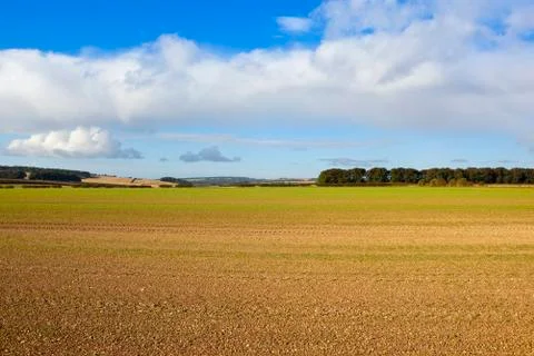 Patchwork fields in autumn Stock Photos