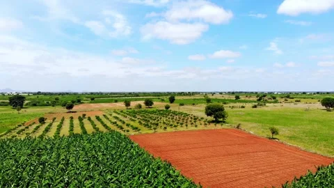 Patchwork Fields in Indian Village With Truck – Drone Photography Stock Footage 319648435