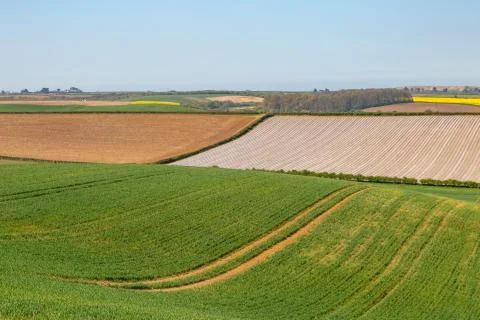 Patchwork Fields on the Isle of Wight 스톡 사진