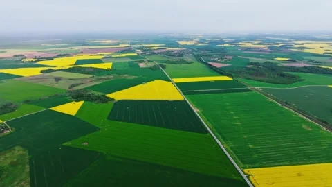 Patchwork Fields of Rapeseed, Crops in Latvia Filmed by Drone – Spring Landscape Stock Footage 311965667
