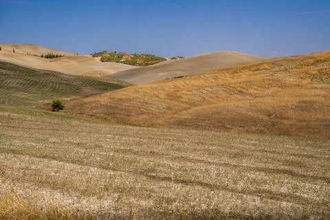 Patchwork Fields with Rolling Hills and Summer Grass 写真素材