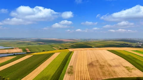 Patchwork fields in the Romanian countryside. Colorful agricultural fields 動画素材 318019902