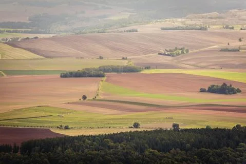 Patchwork fields seen from Szczeliniec Wielki in Table Mountains, Poland 스톡 사진