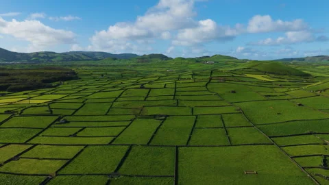 Patchwork Fields Segmented By Stone Walls On Island of Terceira, Azores Video stock 337206208